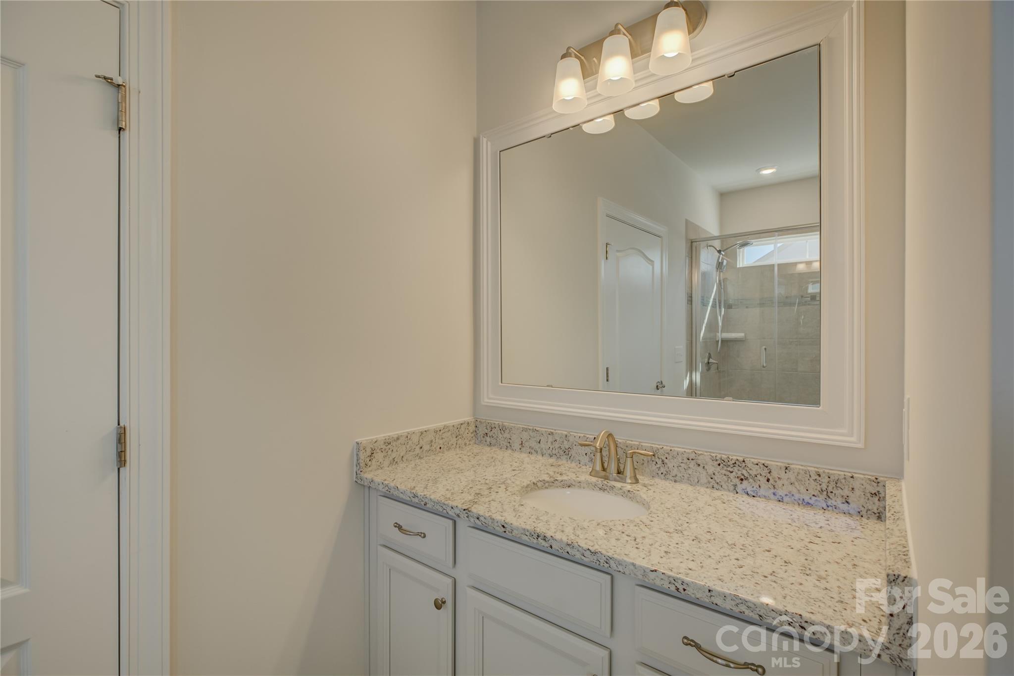 16541 Cozy Cove Road Charlotte, NC 28278 - Photo 23 of 47 a bathroom with a granite countertop sink a large mirror and a light fixture