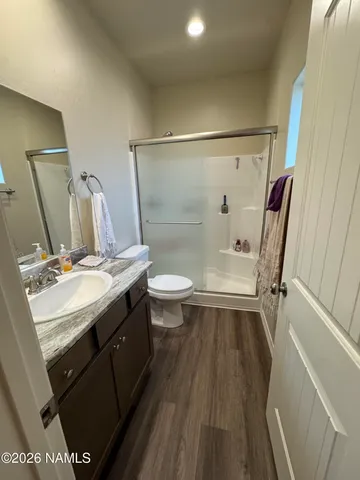 a bathroom with a sink a toilet a mirror and shower