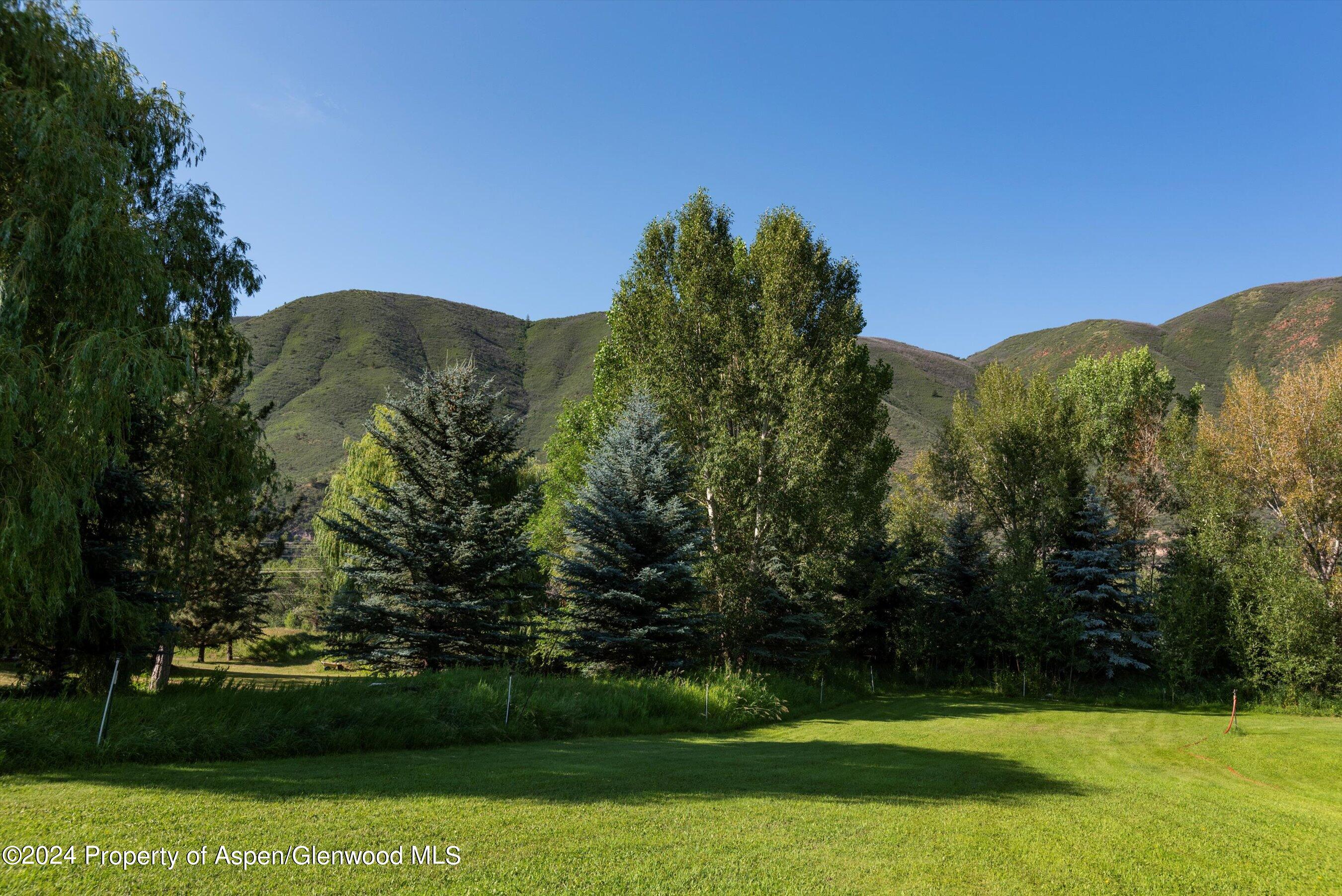 22 Bishop Lane Basalt, CO 81621 - Photo 4 of 16 04-22BishopLn_240717004