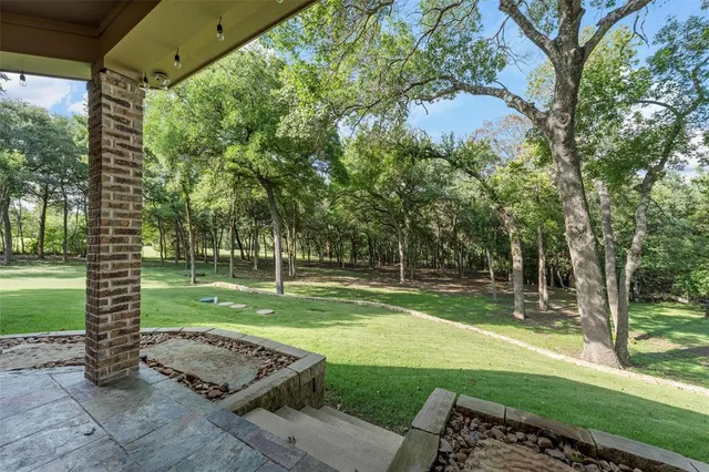a view of a park with large trees