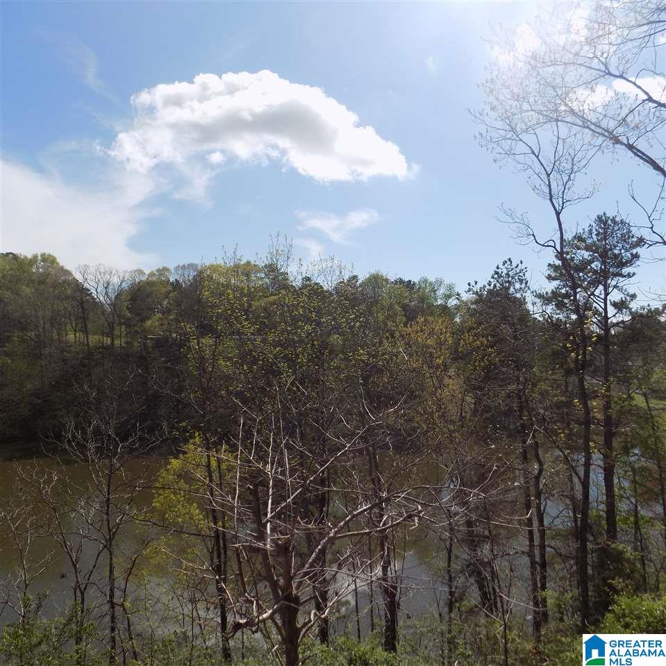 180 Holliday Drive Oneonta, AL 35121 - Photo 2 of 19