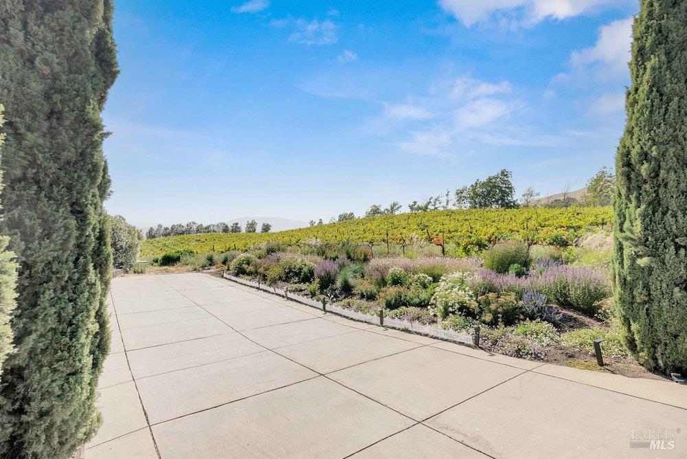 3001 Sears Point Road Sonoma, CA 95476 - Photo 7 of 74 Gallery Image 7