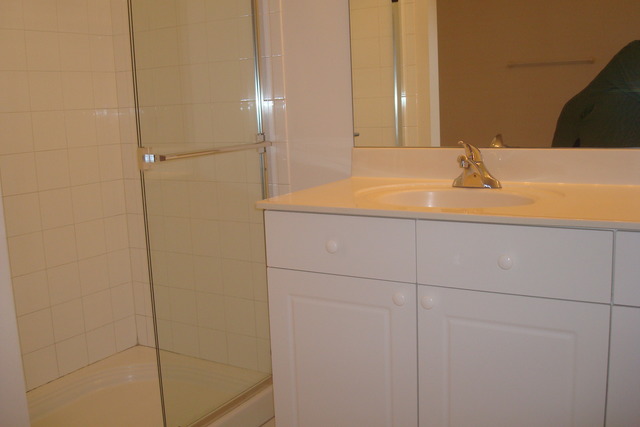 640 McHenry Road, Unit 2208 Wheeling, IL 60090 - Photo 12 of 17 a bathroom with a bathtub and shower