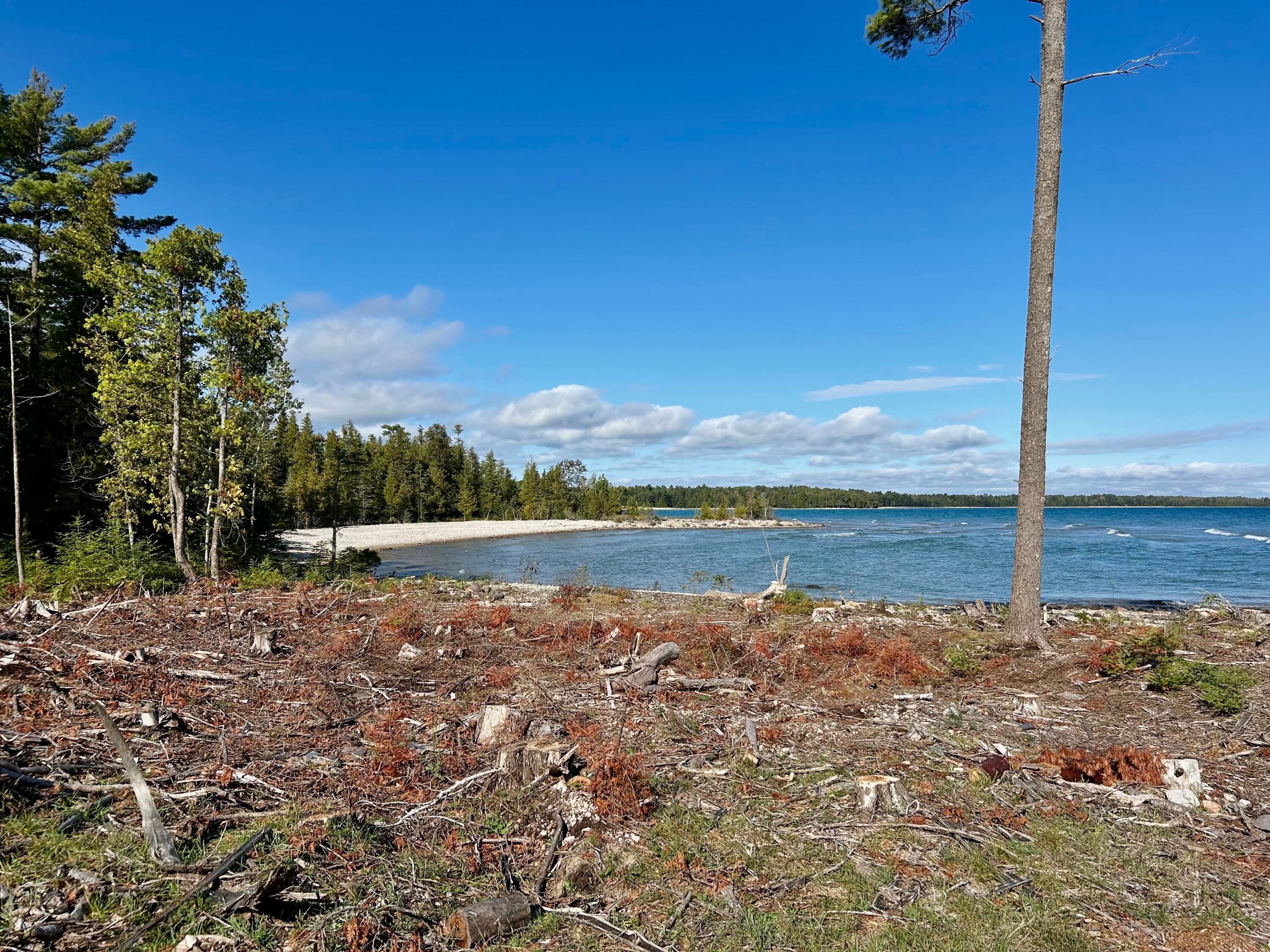 6850 Monaghan Point Road Alpena, MI 49707 - Photo 9 of 11 Gallery Image 9