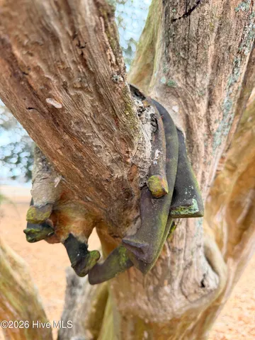 $295,000 | 3298 Yankee Hall Road, Greenville, NC 27834