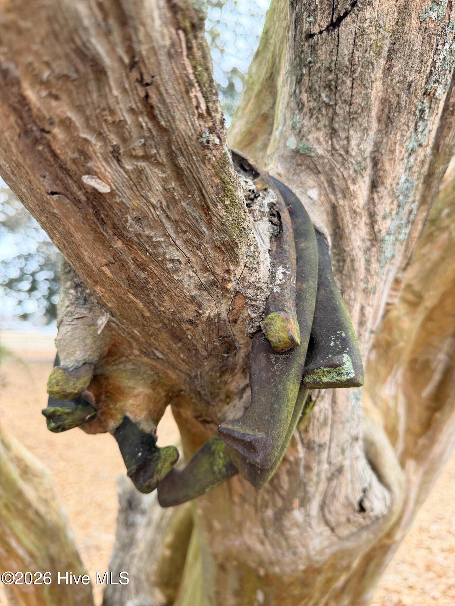 3298 Yankee Hall Road Greenville, NC 27834 - Photo 4 of 9 IMG_3285