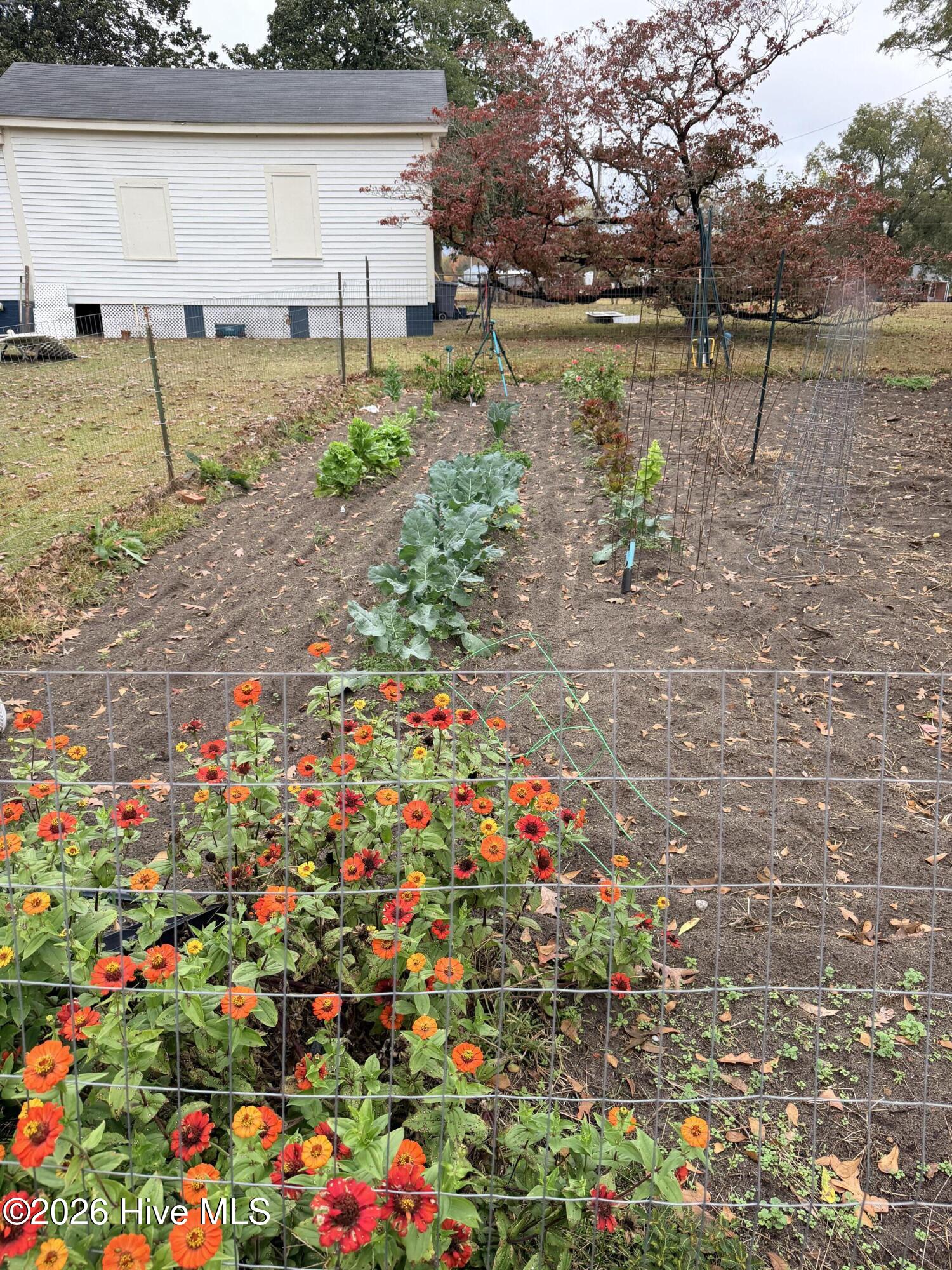 3298 Yankee Hall Road Greenville, NC 27834 - Photo 6 of 9 IMG_1921