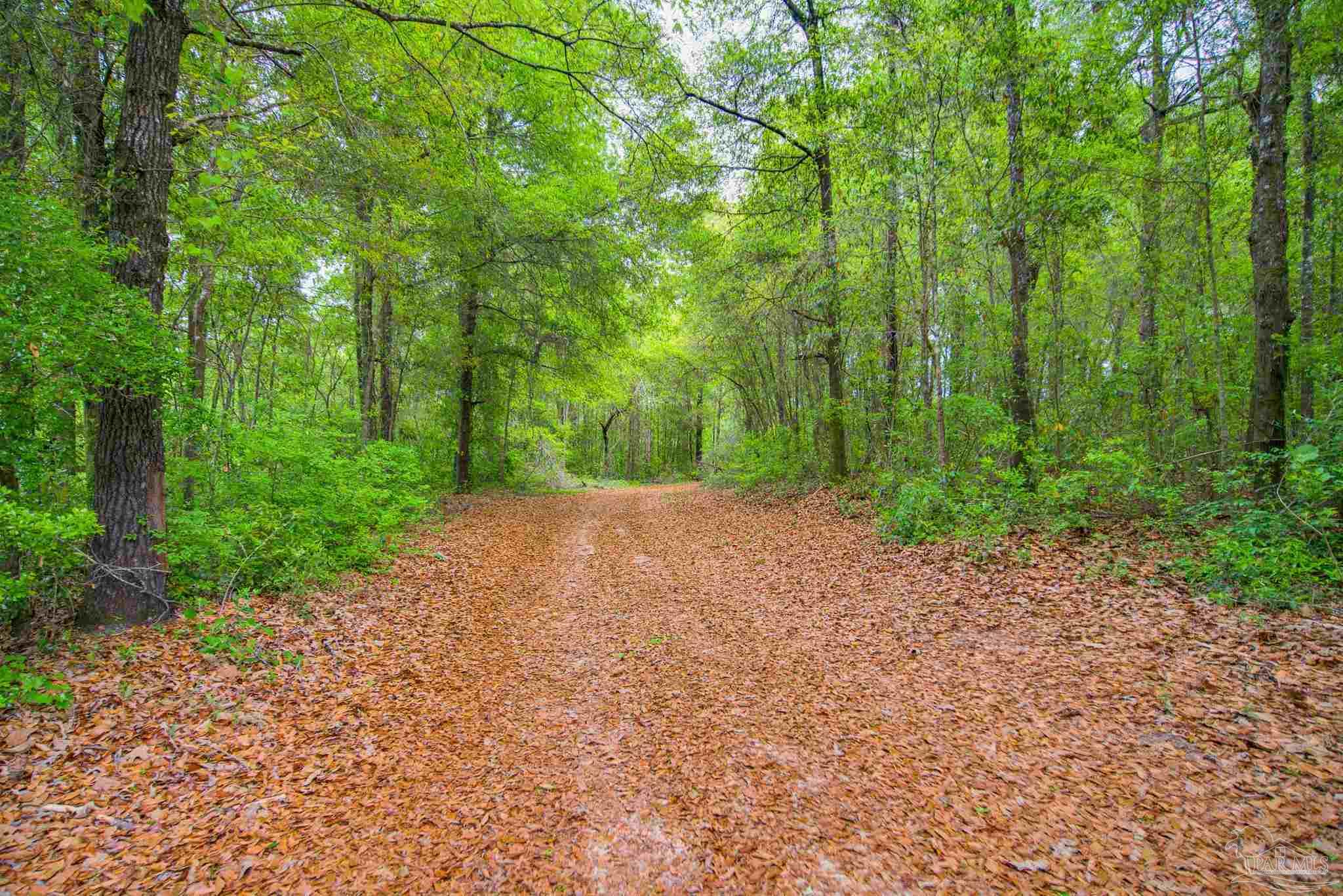 2855 Walling Road Milton, FL 32570 - Photo 3 of 55