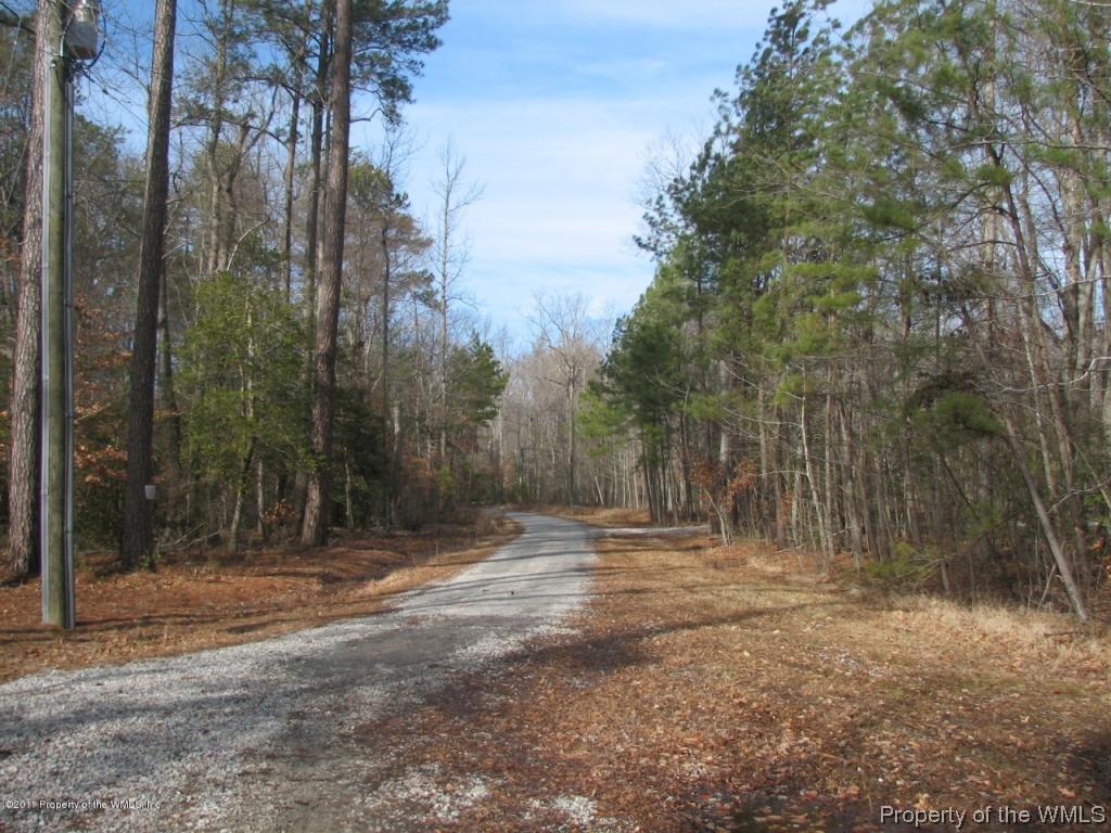 Lot 43 Vaidens Pond Road Lanexa, VA 23089 - Photo 6 of 7 Gallery Image 6