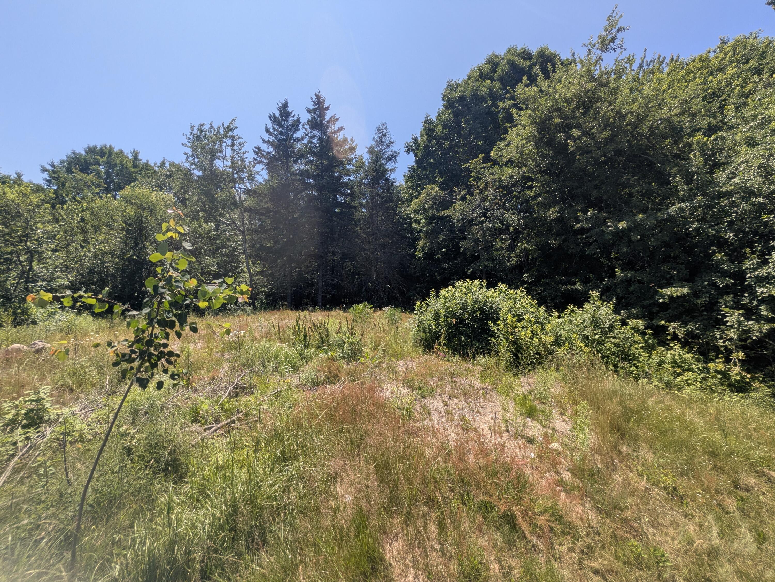 115 Wyman Road Milbridge, ME 04658 - Photo 10 of 37 PXL_20260708_173141599
