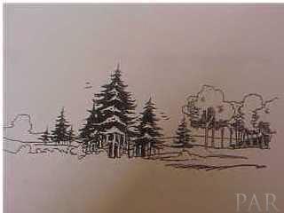 Lot 120 Wallace Lake Road Pace, FL 32571 - Photo 1 of 1 Gallery Image 1