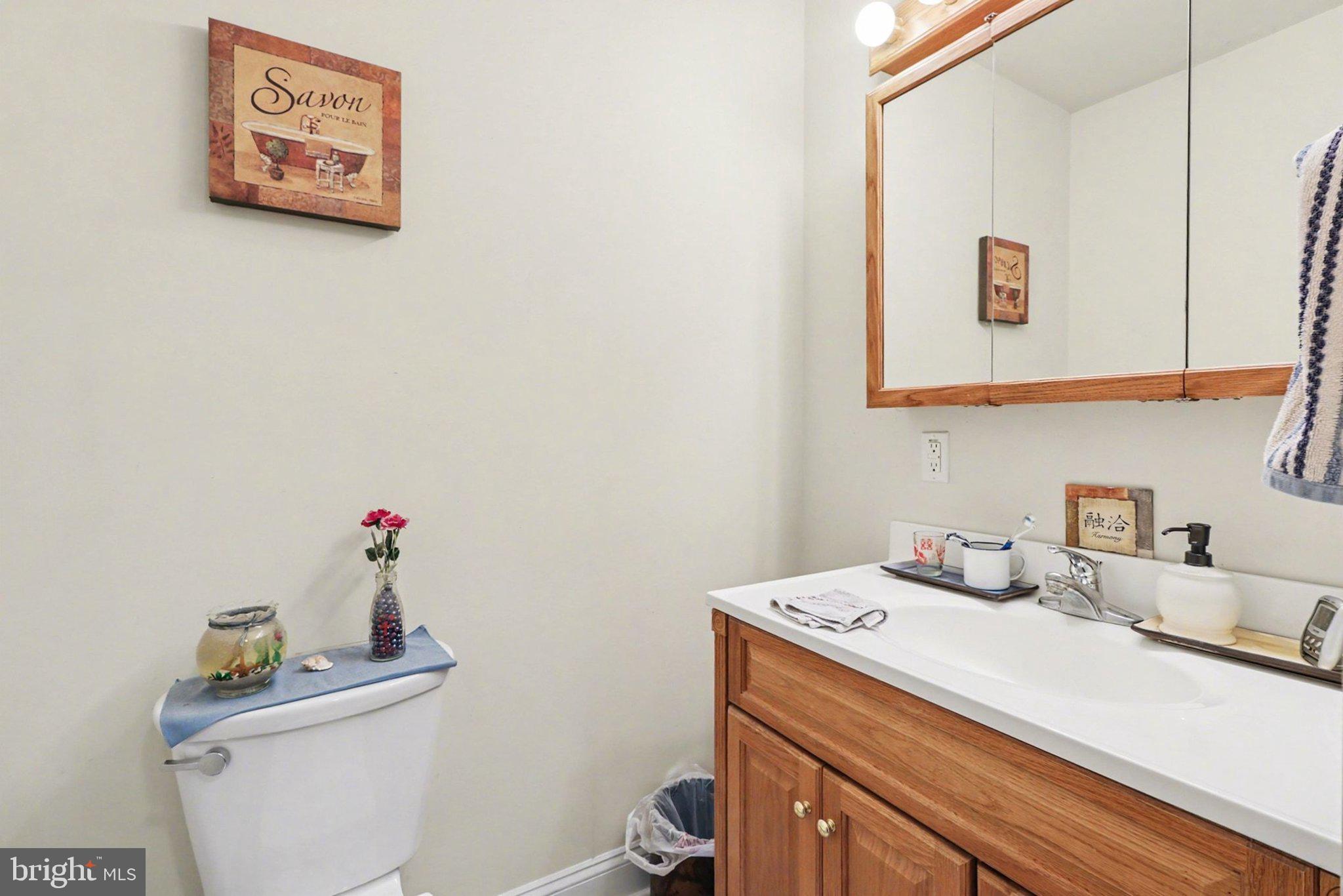 88 McAllister Church Road Carlisle, PA 17015 - Photo 20 of 43 a bathroom with a sink and a toilet