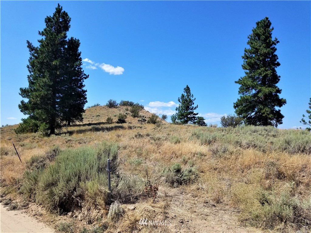200 Mountain Springs Road Orondo, WA 98843 - Photo 13 of 25 Gallery Image 13