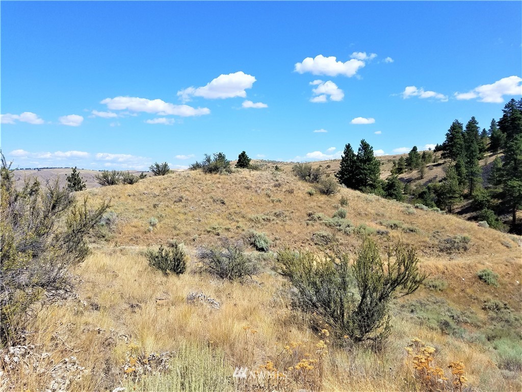 200 Mountain Springs Road Orondo, WA 98843 - Photo 15 of 25 Gallery Image 15