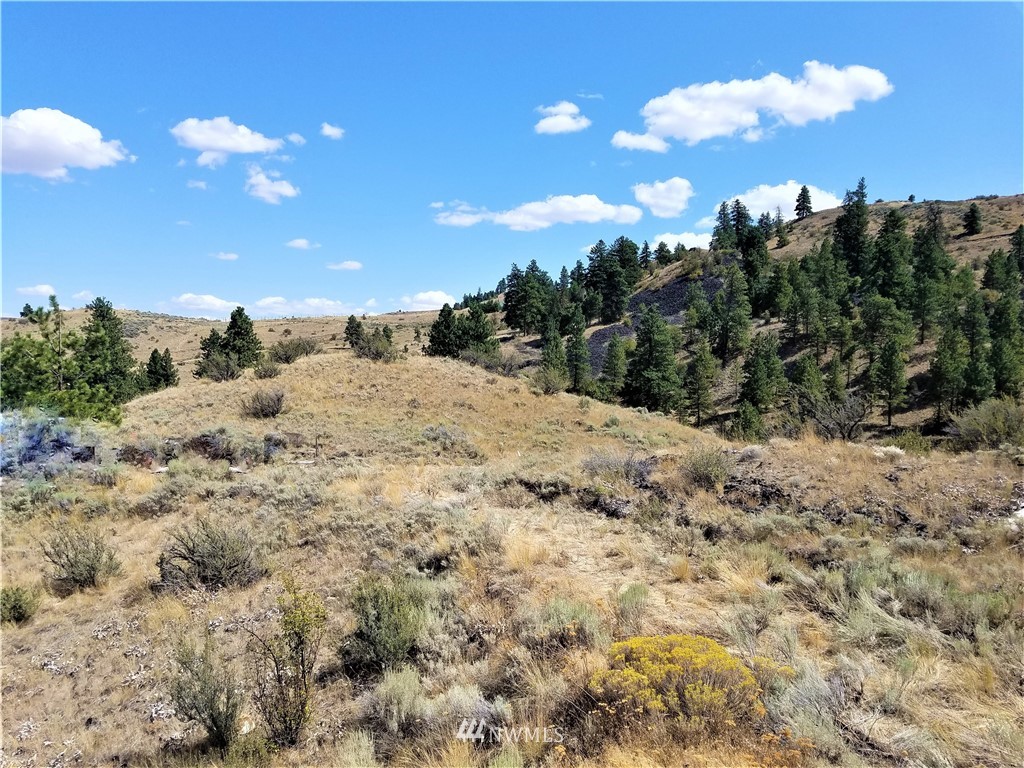 200 Mountain Springs Road Orondo, WA 98843 - Photo 16 of 25 Gallery Image 16