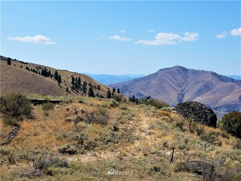 200 Mountain Springs Road Orondo, WA 98843 - Photo 17 of 25 Gallery Image 17