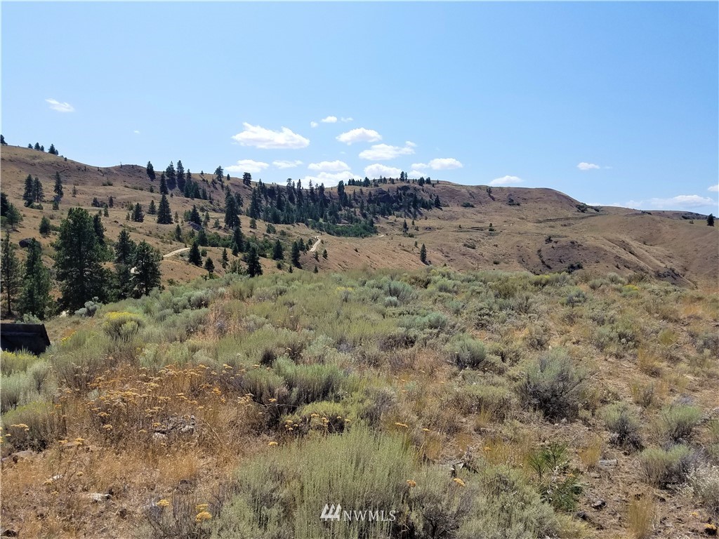 200 Mountain Springs Road Orondo, WA 98843 - Photo 18 of 25 Gallery Image 18