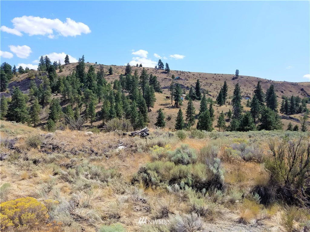 200 Mountain Springs Road Orondo, WA 98843 - Photo 19 of 25 Gallery Image 19
