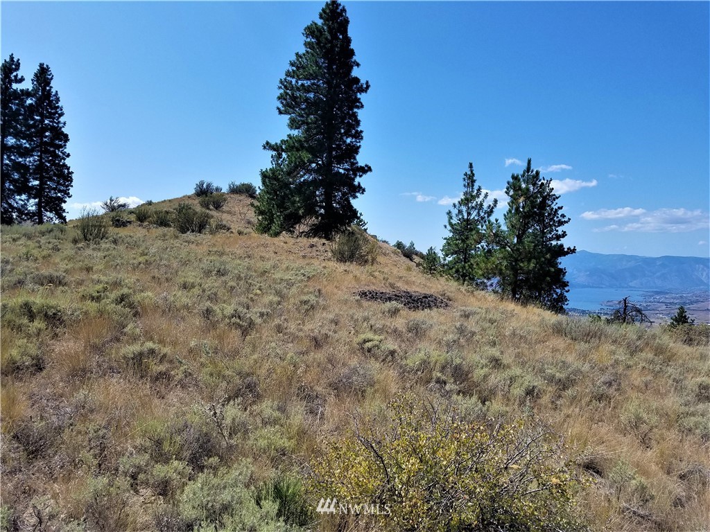 200 Mountain Springs Road Orondo, WA 98843 - Photo 20 of 25 Gallery Image 20