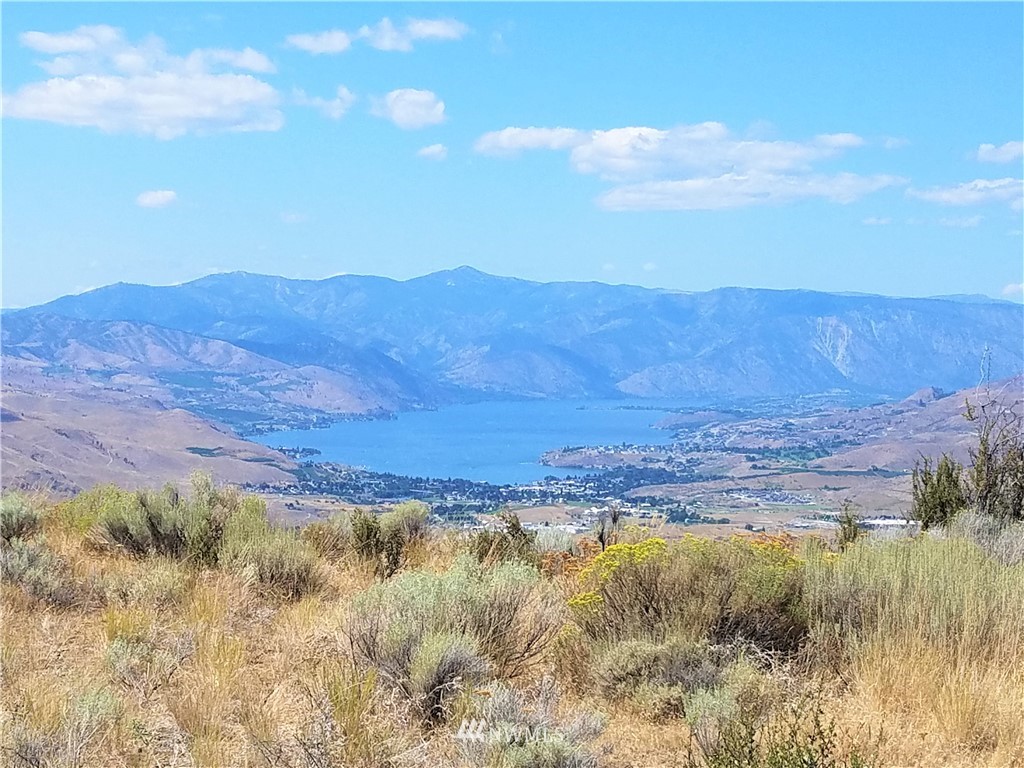 200 Mountain Springs Road Orondo, WA 98843 - Photo 21 of 25 Gallery Image 21