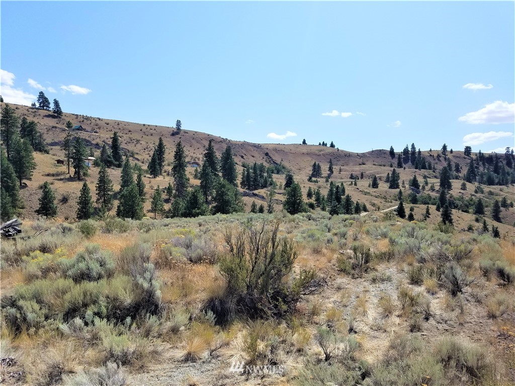 200 Mountain Springs Road Orondo, WA 98843 - Photo 4 of 25 Gallery Image 4