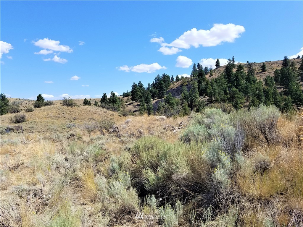 200 Mountain Springs Road Orondo, WA 98843 - Photo 6 of 25 Gallery Image 6
