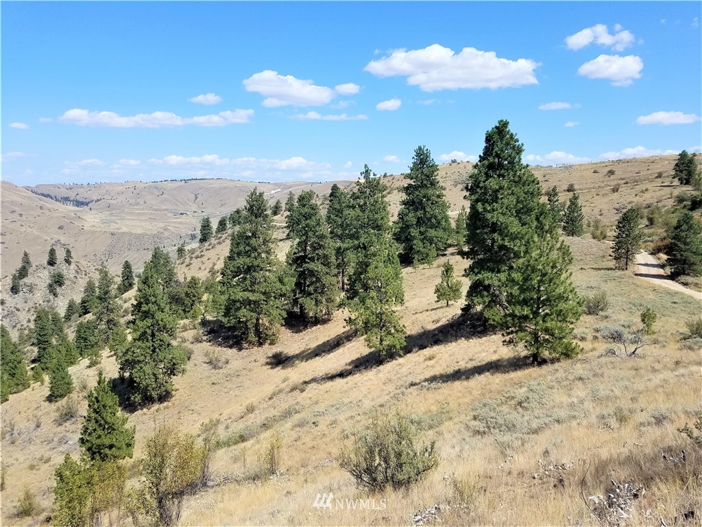 200 Mountain Springs Road Orondo, WA 98843 - Photo 7 of 25 Gallery Image 7