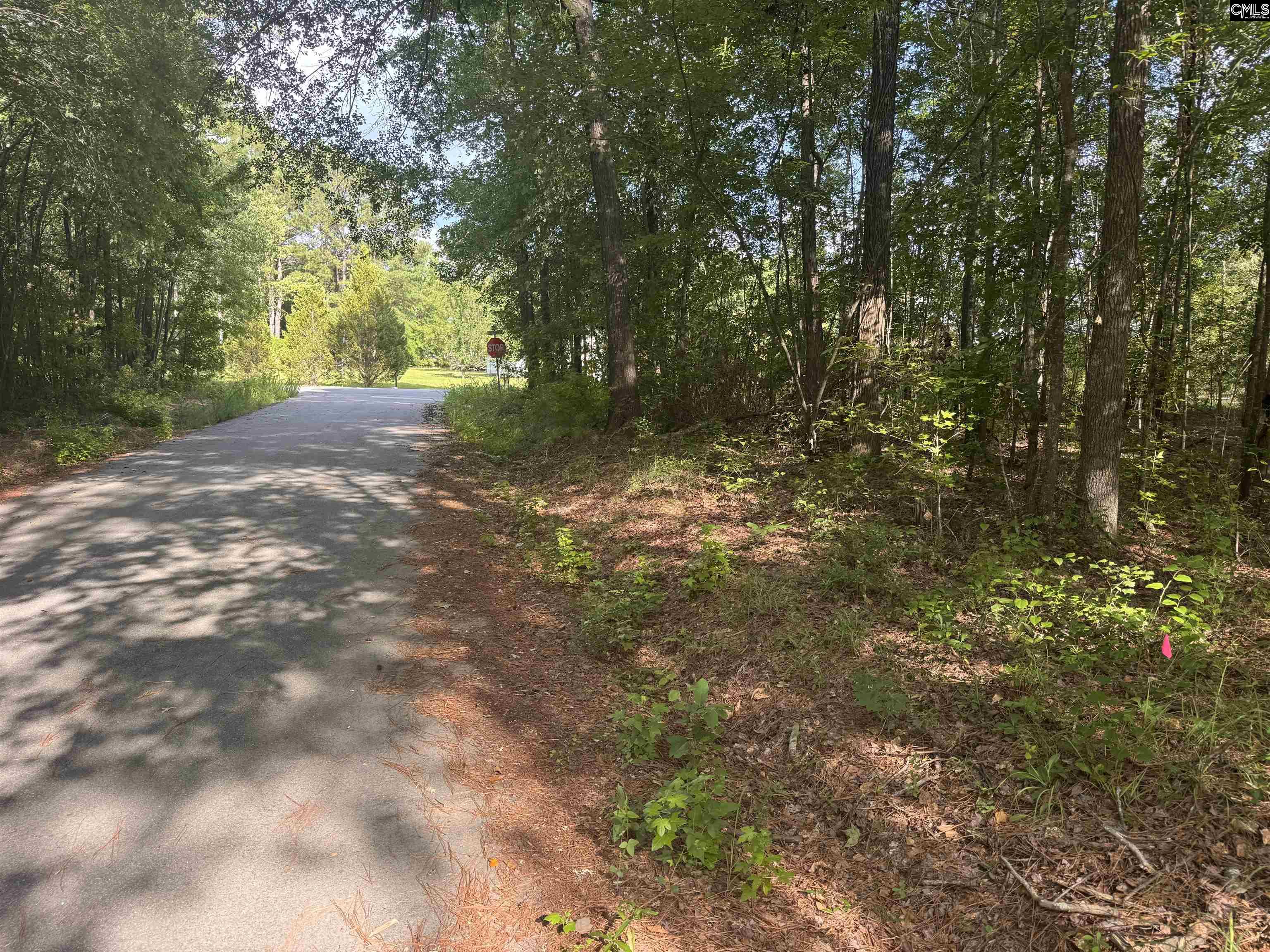 209 Ted Street Columbia, SC 29203 - Photo 4 of 10