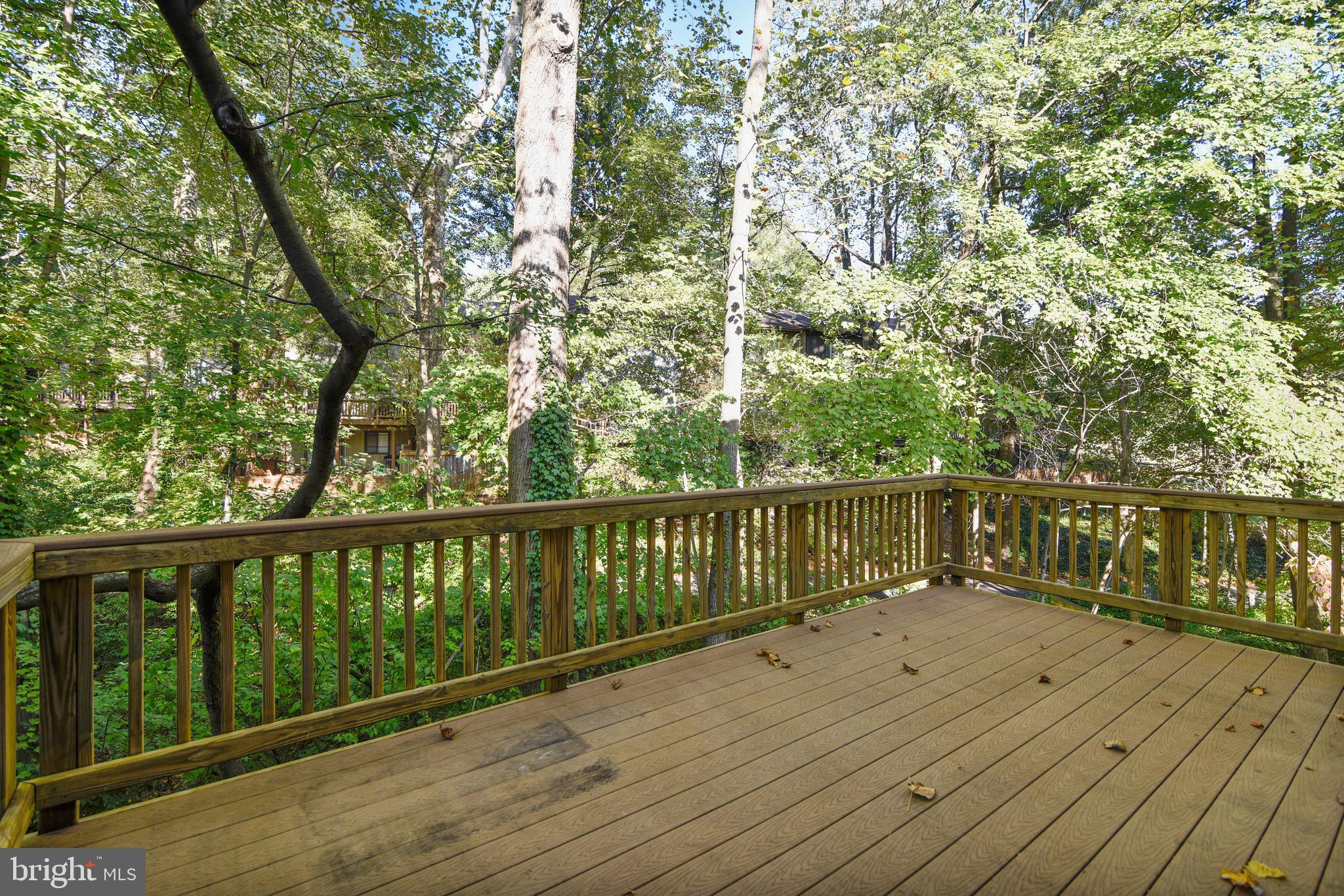 11966 Greywing Court Reston, VA 20191 - Photo 25 of 79 Rear Deck