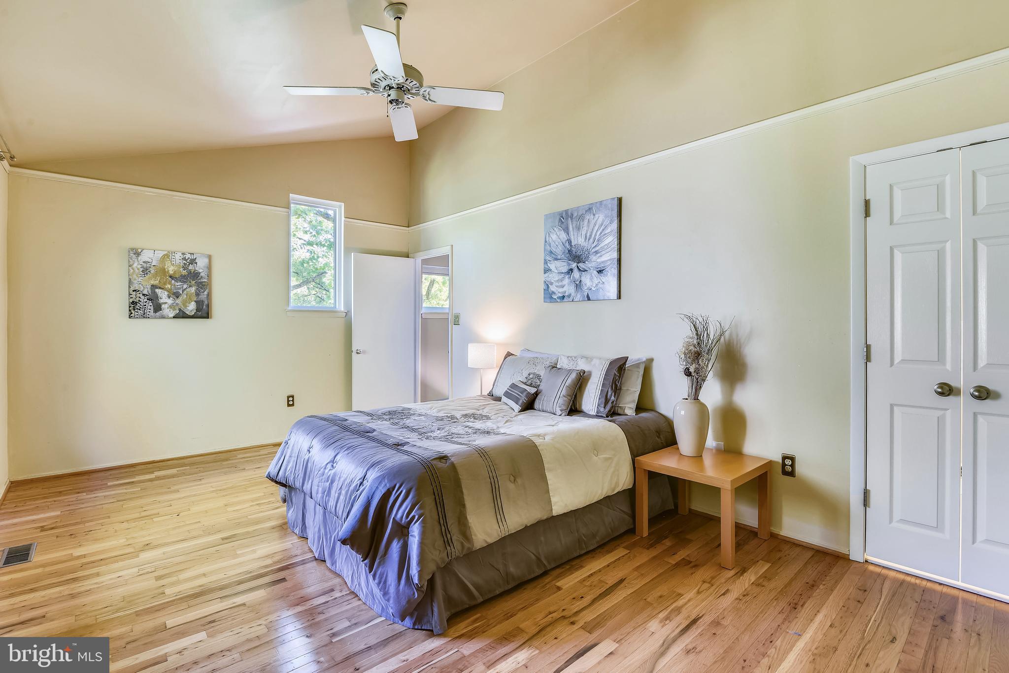 11966 Greywing Court Reston, VA 20191 - Photo 35 of 79 Vaulted Ceilings in the Master Bedroom