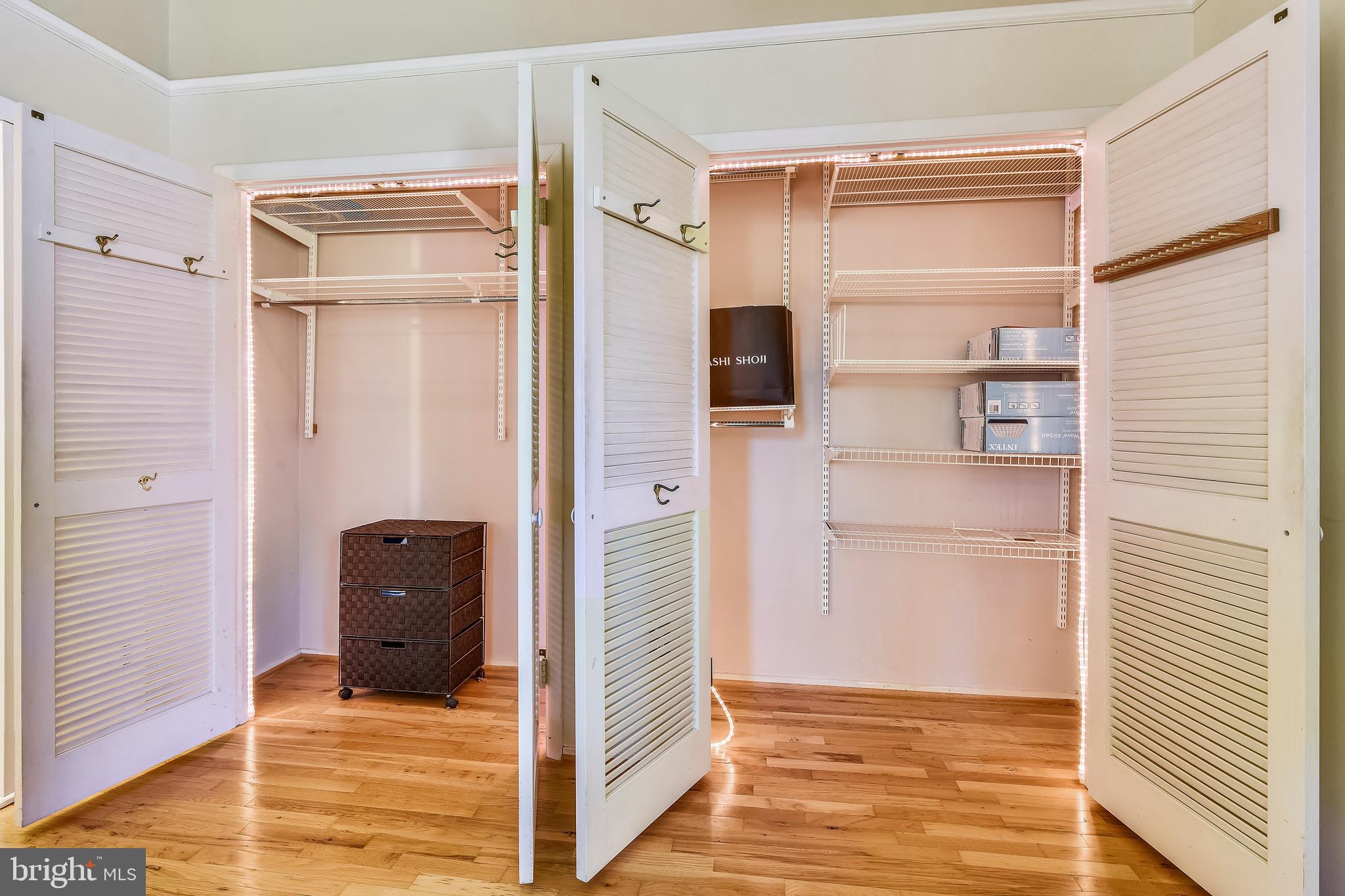 11966 Greywing Court Reston, VA 20191 - Photo 40 of 79 Master Bedroom Closets with built-ins