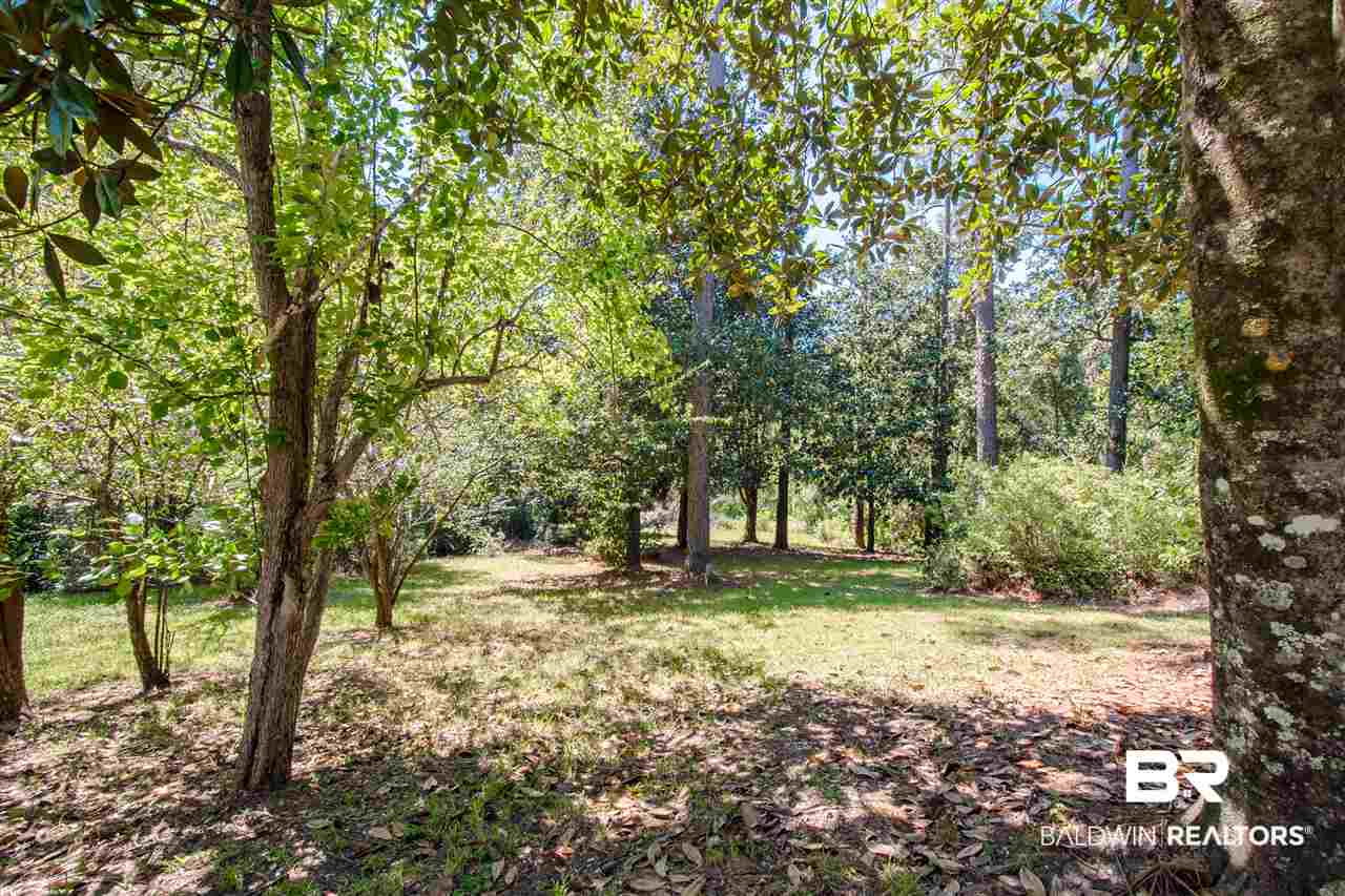 19253 North East River Road Silverhill, AL 36576 - Photo 6 of 49 3/4 Acres