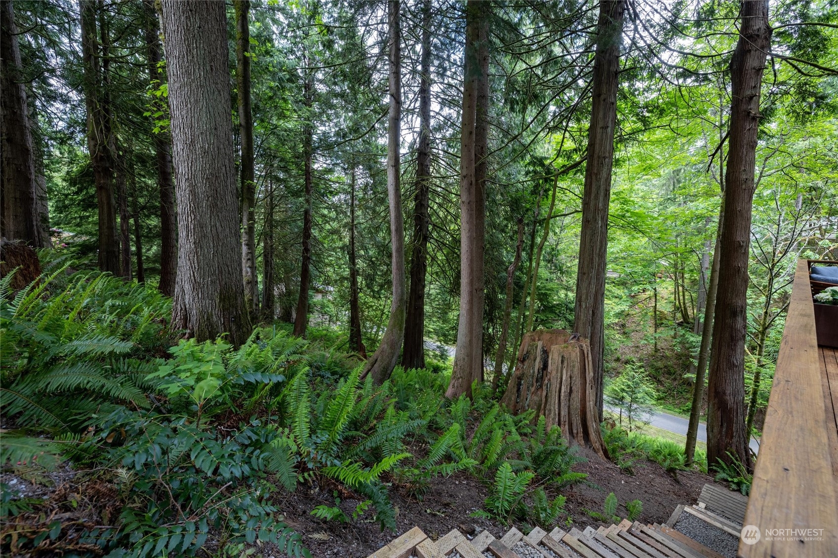 32-34 Maple Court Bellingham, WA 98229 - Photo 30 of 31 a view of outdoor space and green space