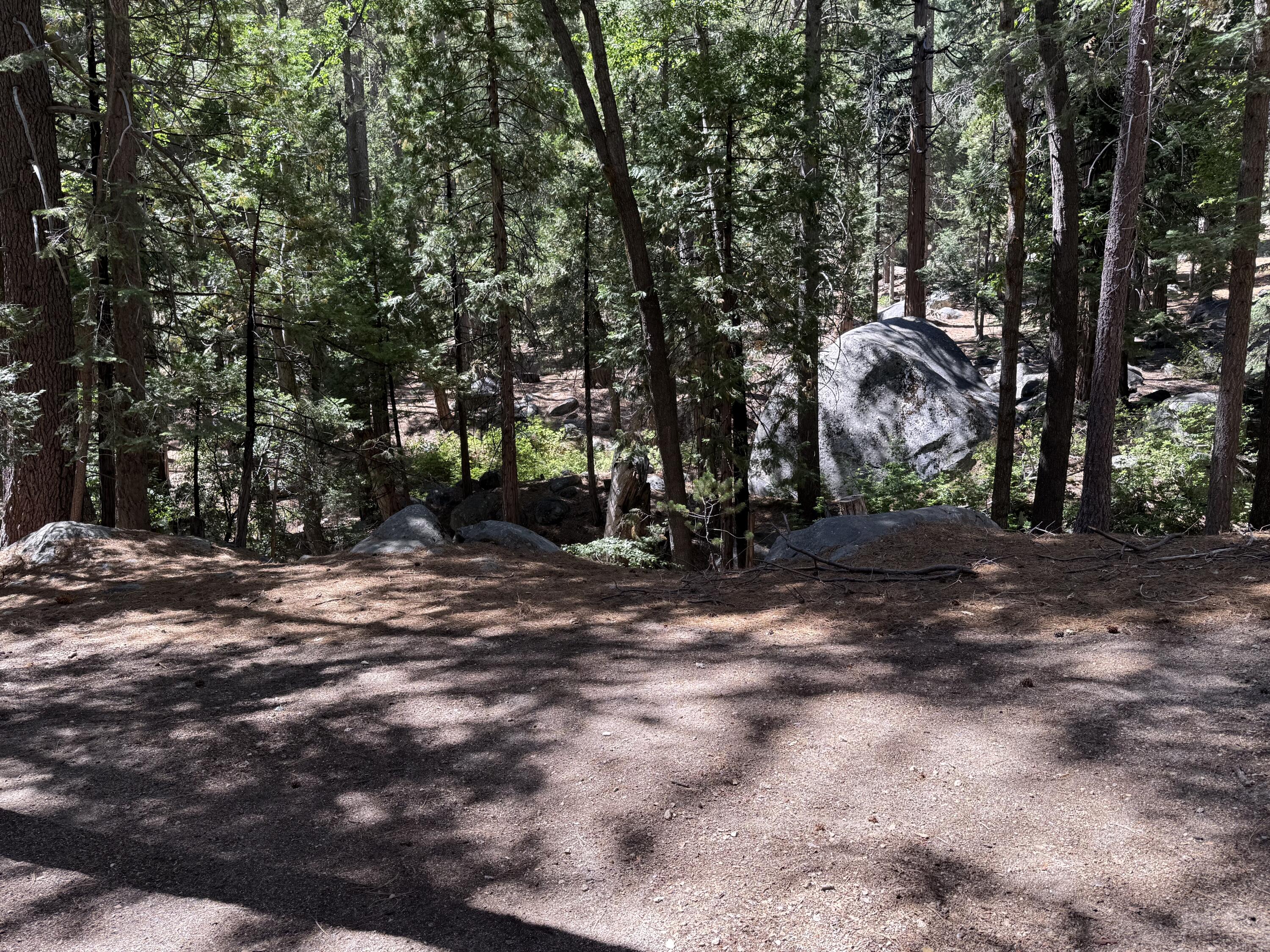 24565 Fern Valley Road Idyllwild, CA 92549 - Photo 15 of 17 a view of a park with large trees