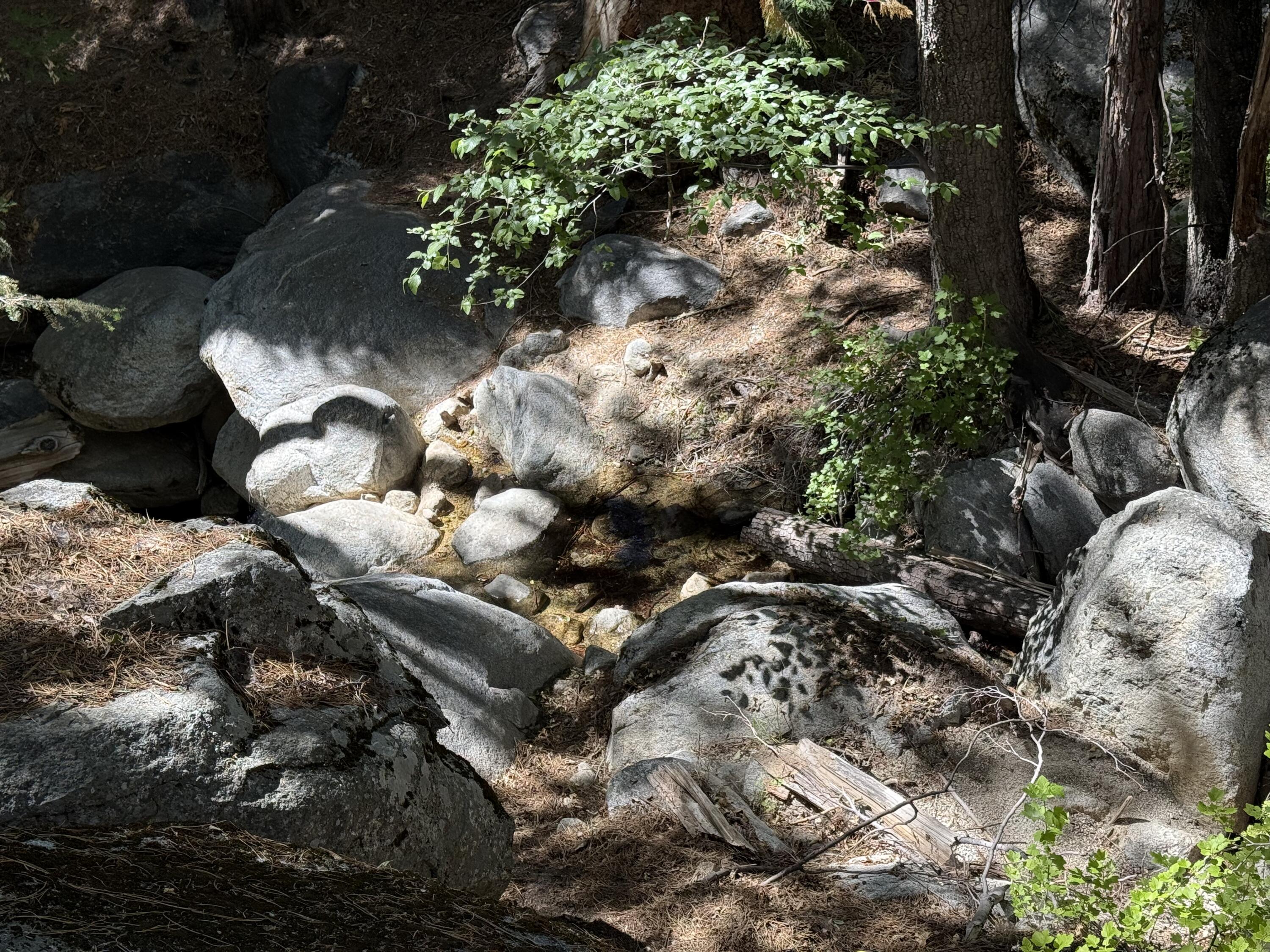24565 Fern Valley Road Idyllwild, CA 92549 - Photo 17 of 17 a picture of outdoor space