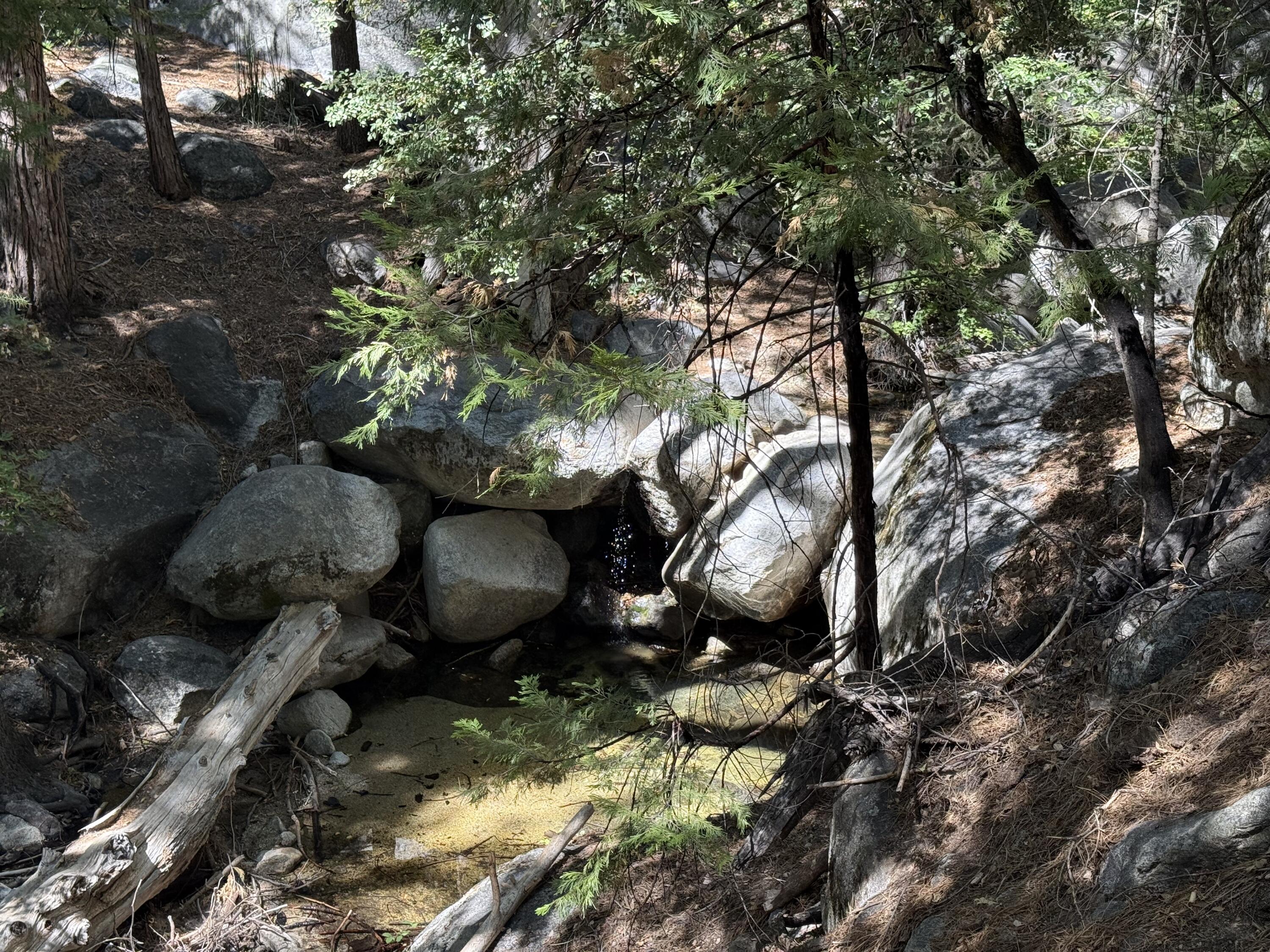 24565 Fern Valley Road Idyllwild, CA 92549 - Photo 2 of 17 a view of an outdoor space
