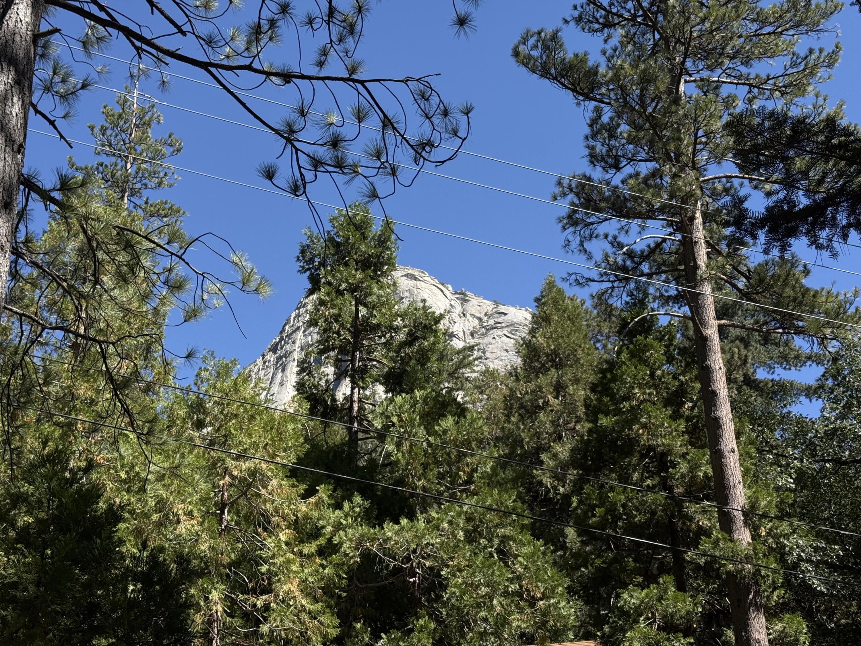 24565 Fern Valley Road Idyllwild, CA 92549 - Photo 3 of 17 a view of a house with a yard and garden