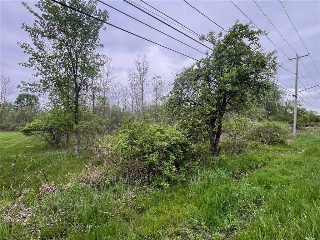 5670 Thompson Road Clarence, NY 14032 - Photo 9 of 11