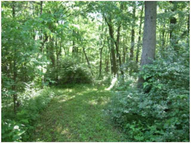 2851 Senour Road Indianapolis, IN 46239 - Photo 12 of 12