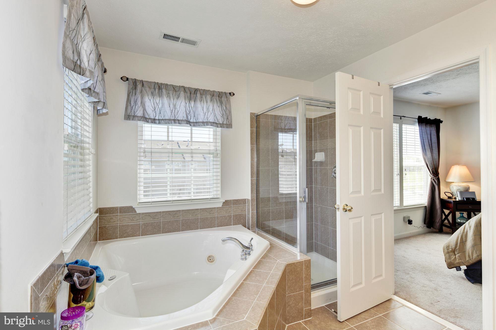 9851 Decatur Road Baltimore, MD 21220 - Photo 19 of 24 a bathroom with a bathtub a shower and a sink