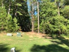 Lot J-31 Lot J-31 Collin Reeds Road North Augusta, SC 29860 - Photo 1 of 5 Wooded front, opens to cleared building site