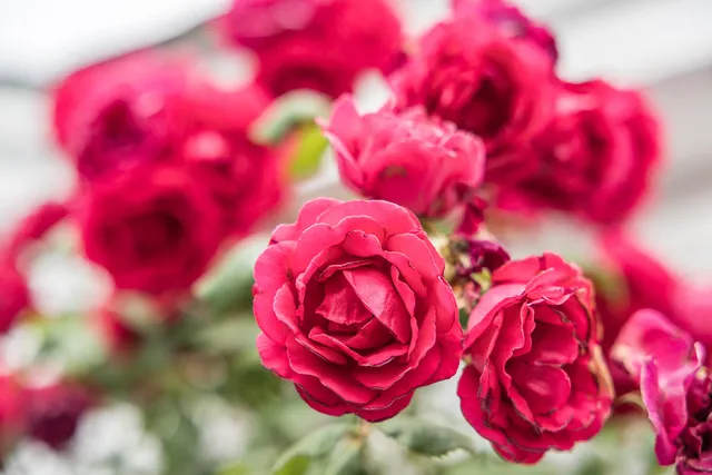 a view of a balcony with barbeque grill