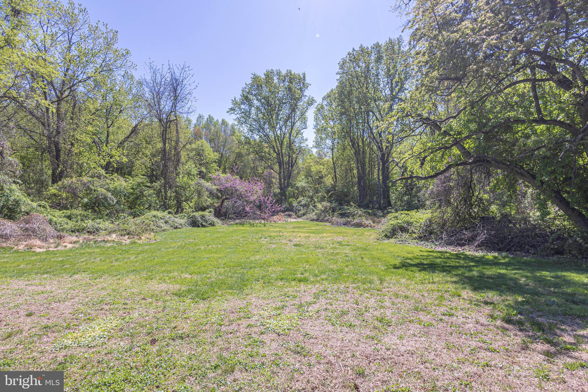 661 Nancy Road Yardley, PA 19067 - Photo 56 of 72 Gorgeous Backyard & view to conservacy land