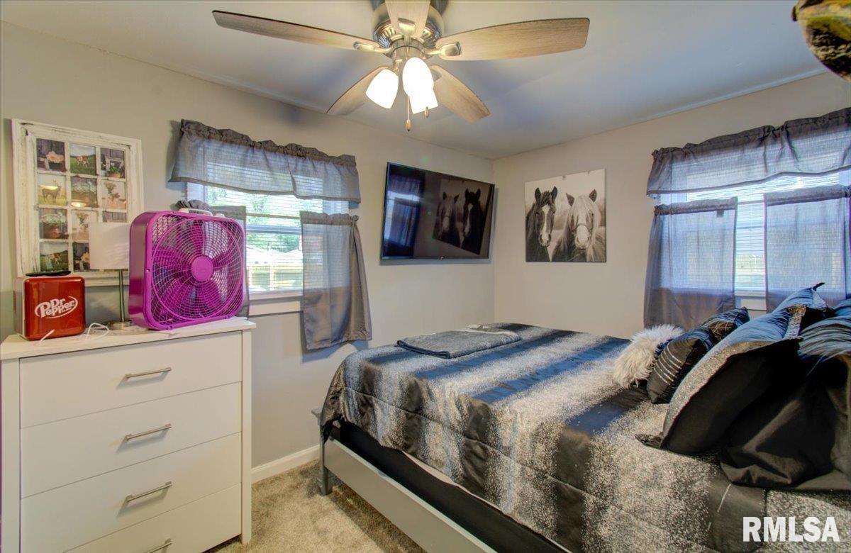 1012 North Ohio Street Springfield, IL 62702 - Photo 22 of 41 Gallery Image 22