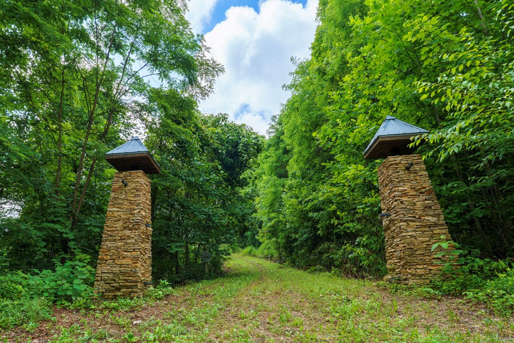 235 Rios Drive Bryson City, NC 28713 - Photo 4 of 29