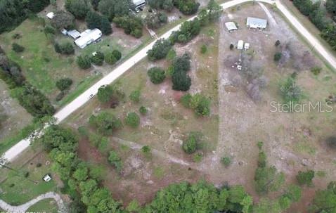 116 Osceola Road Georgetown, FL 32139 - Photo 11 of 16 a view of a yard