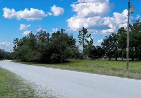 116 Osceola Road Georgetown, FL 32139 - Photo 14 of 16 a view of a grassy field