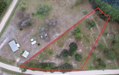 116 Osceola Road Georgetown, FL 32139 - Photo 2 of 16 a view of a yard