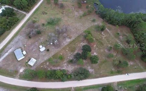 116 Osceola Road Georgetown, FL 32139 - Photo 6 of 16 a view of a yard