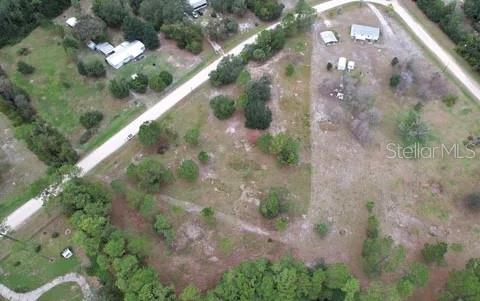 116 Osceola Road Georgetown, FL 32139 - Photo 9 of 16 a view of a garden